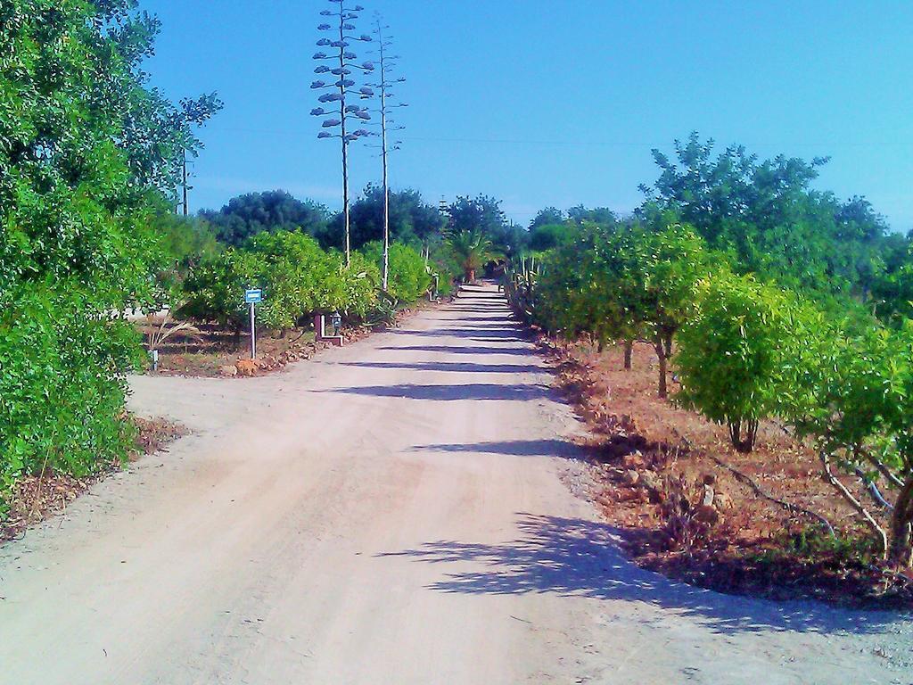 Quinta Casalinho Villa Албуфейра Екстериор снимка