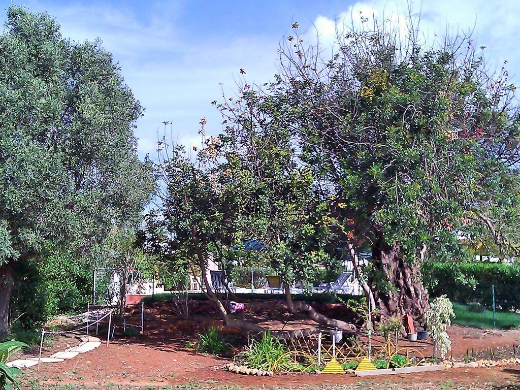 Quinta Casalinho Villa Албуфейра Екстериор снимка